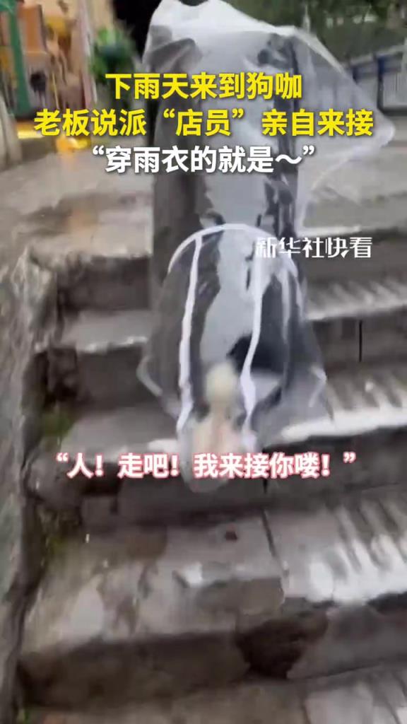 下雨天去狗咖，老板说派店员亲自来接我 “穿雨衣的就是~”
