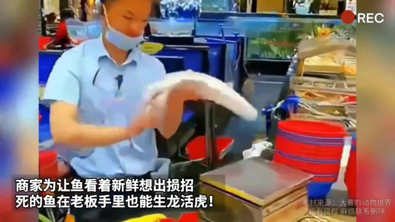 没看出来，怎么操作的？？