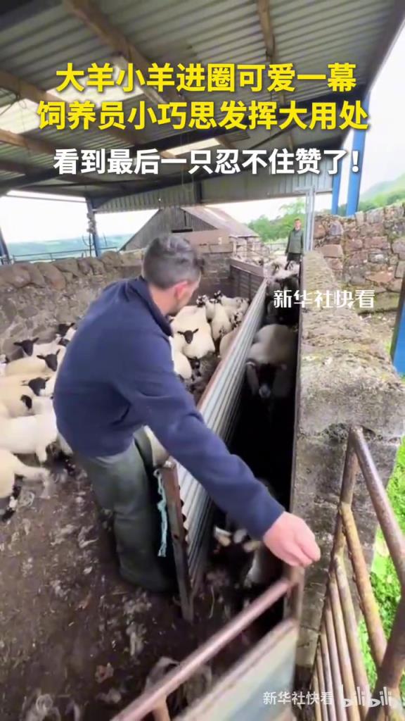 饲养员小巧思发挥大用处