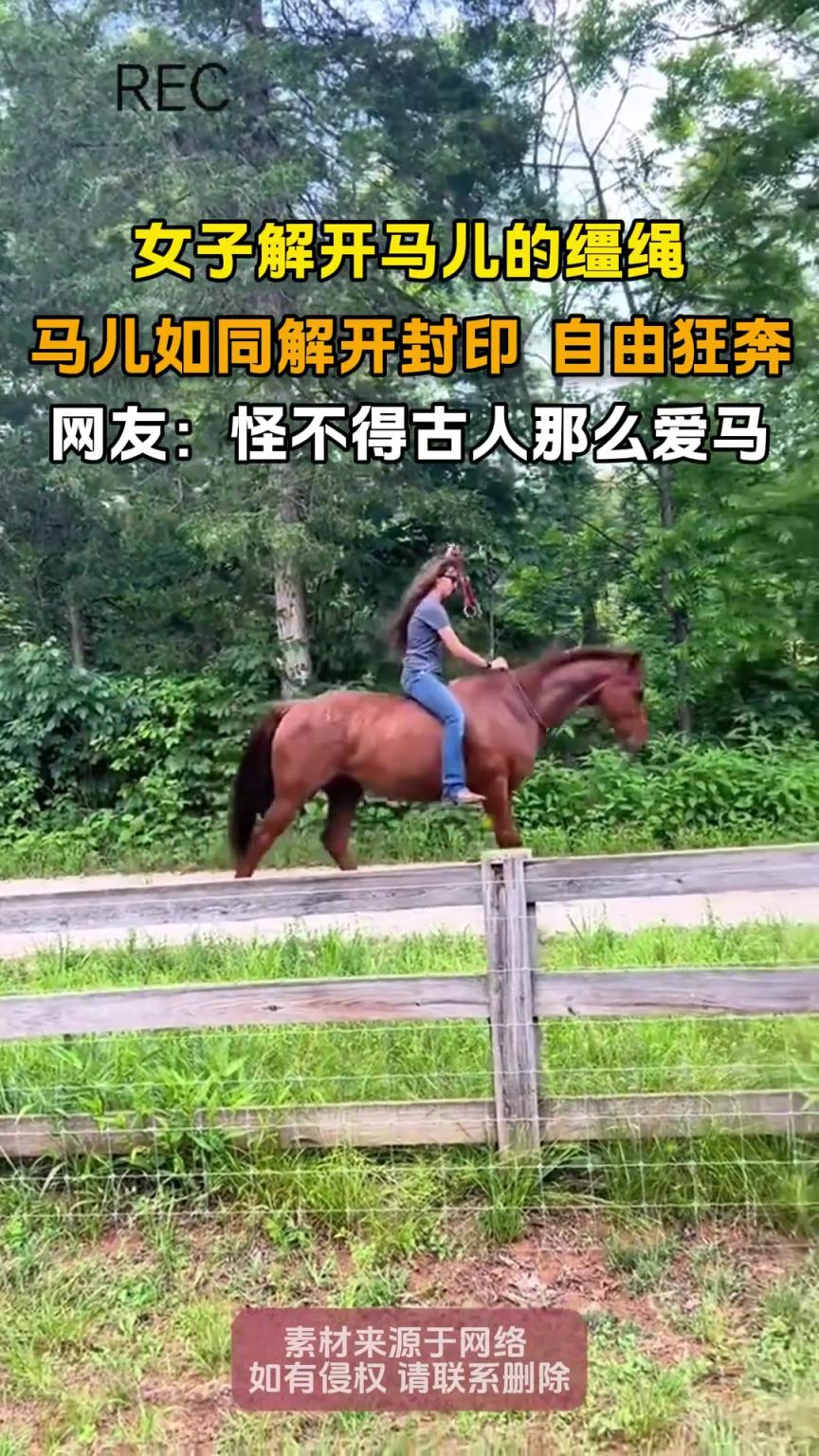 女子解開馬兒的韁繩，馬兒如同解開封印 自由奔跑