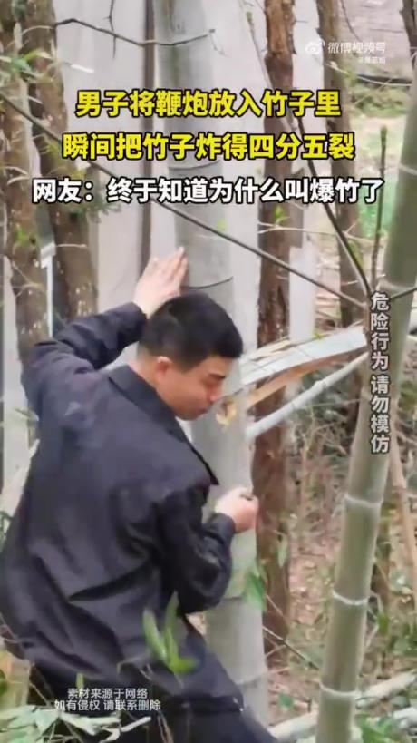 男子将鞭炮置入竹子，瞬间竹子被炸得四分五裂