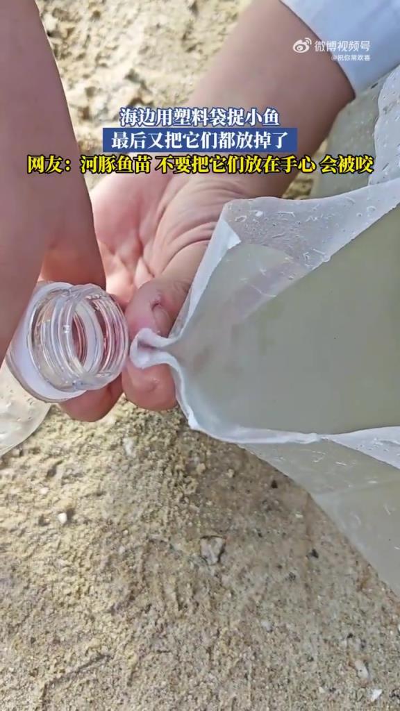 海边用塑料袋捉小鱼，最后又把它们都放掉了！