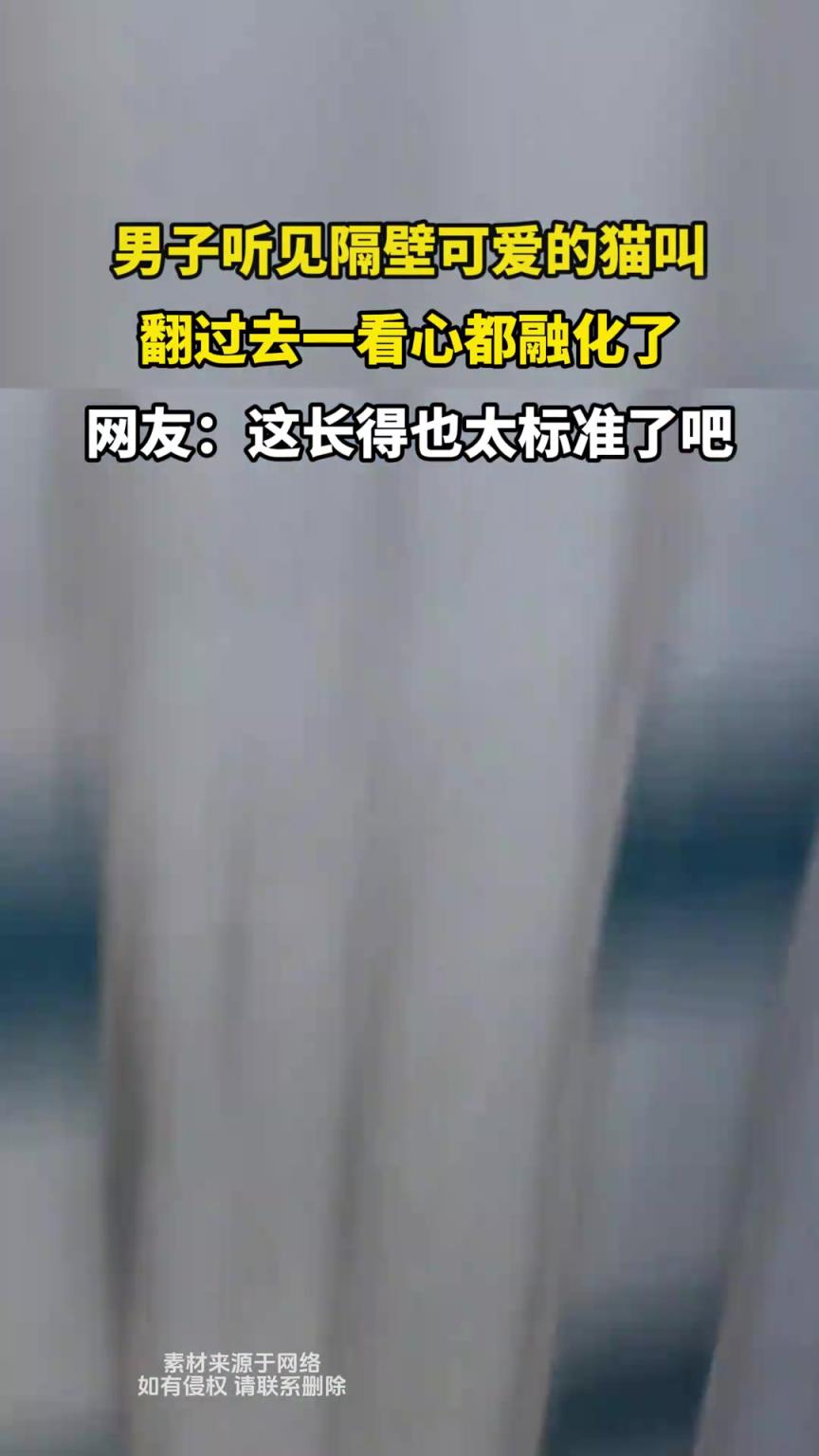 男子听见隔壁可爱的猫叫，翻过去一看心都融化了