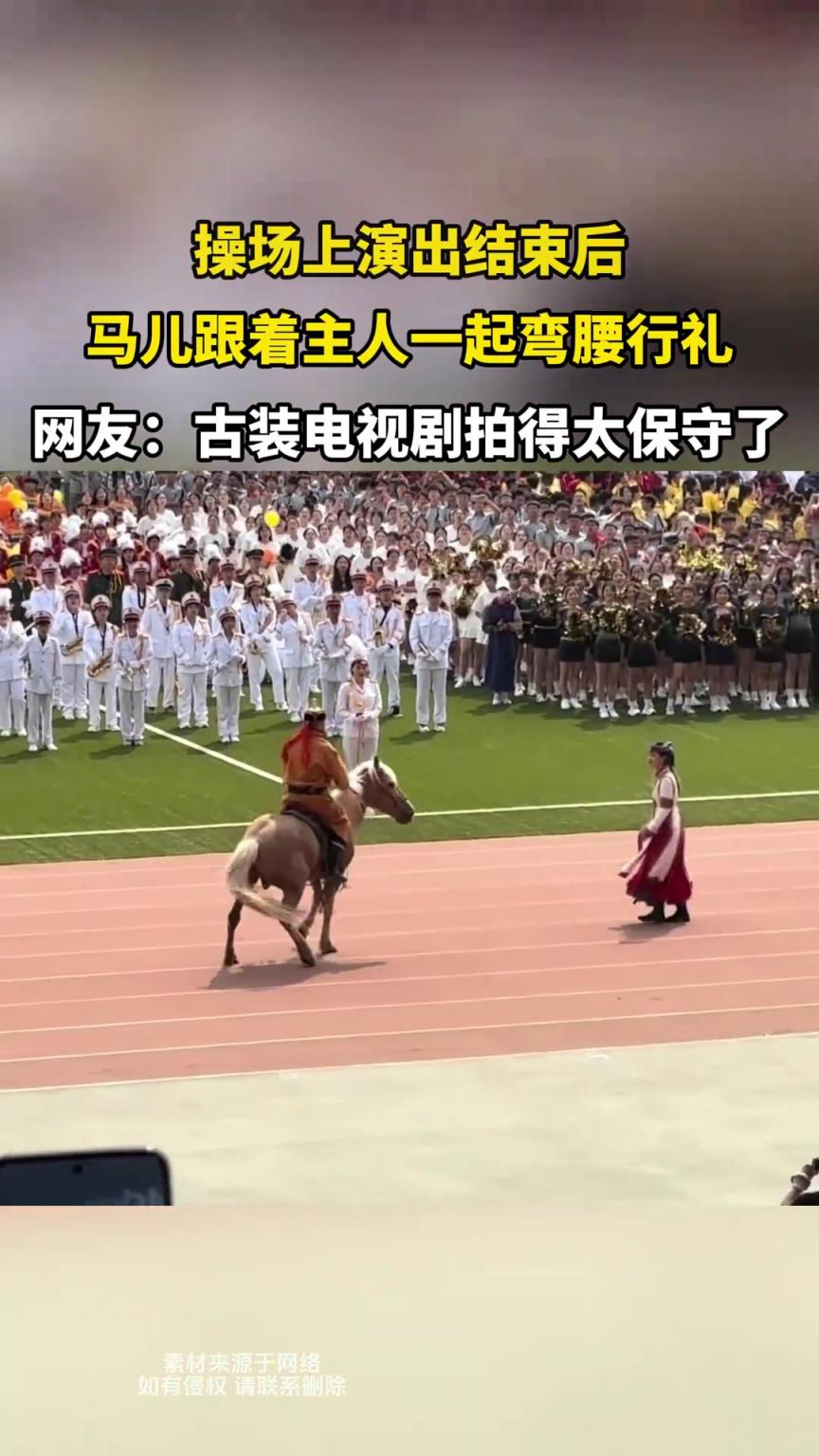 操场上演出结束后，马儿跟着主人一起弯腰行礼