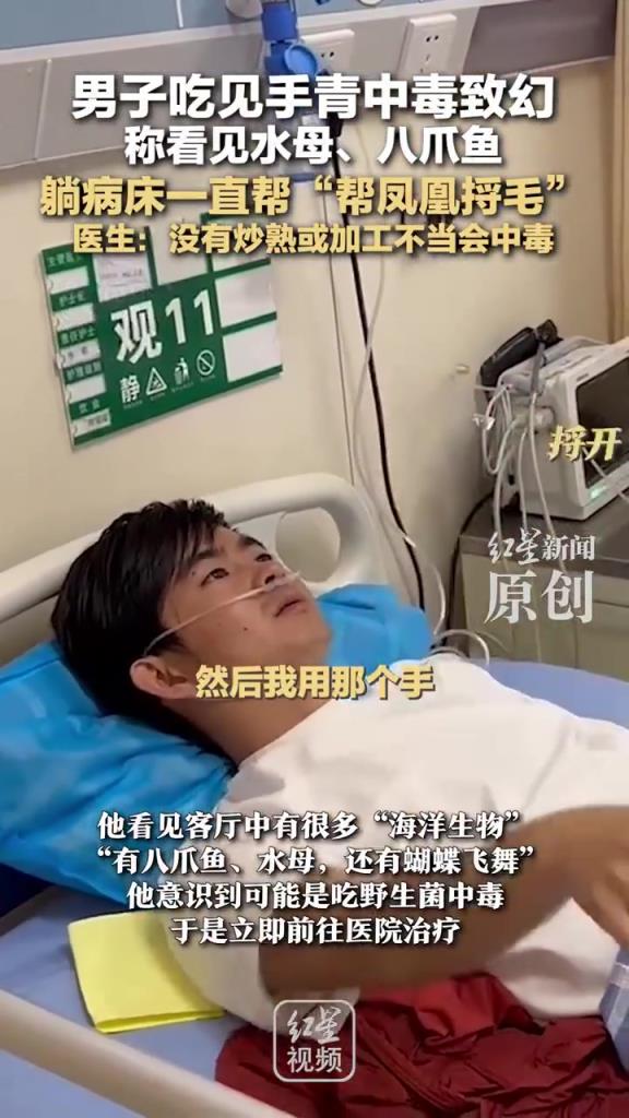 男子吃见手青中毒一直帮凤凰捋毛