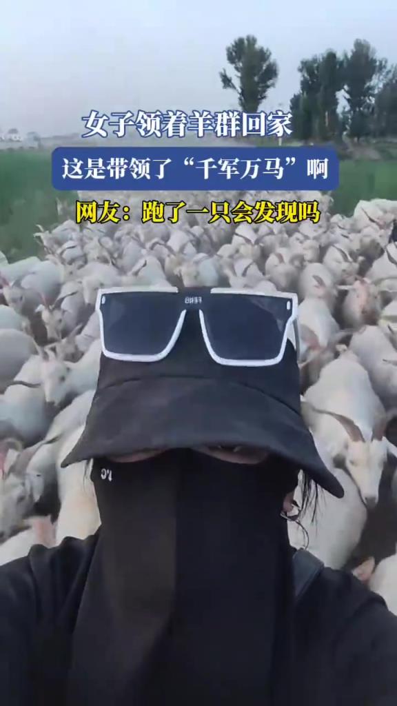 女子领着羊群回家