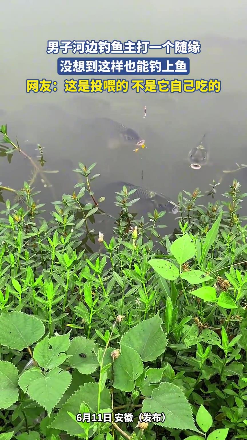 男子河邊釣魚主打一個隨緣，沒想到這樣也能釣上魚