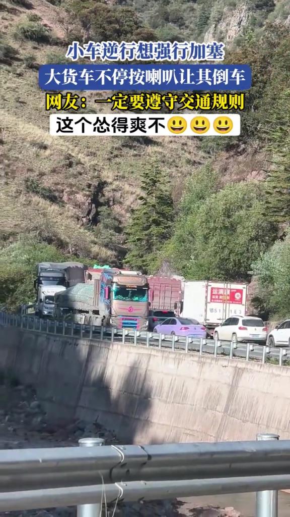 小车逆行想强行加塞,大货车不停按喇叭让其倒车!!