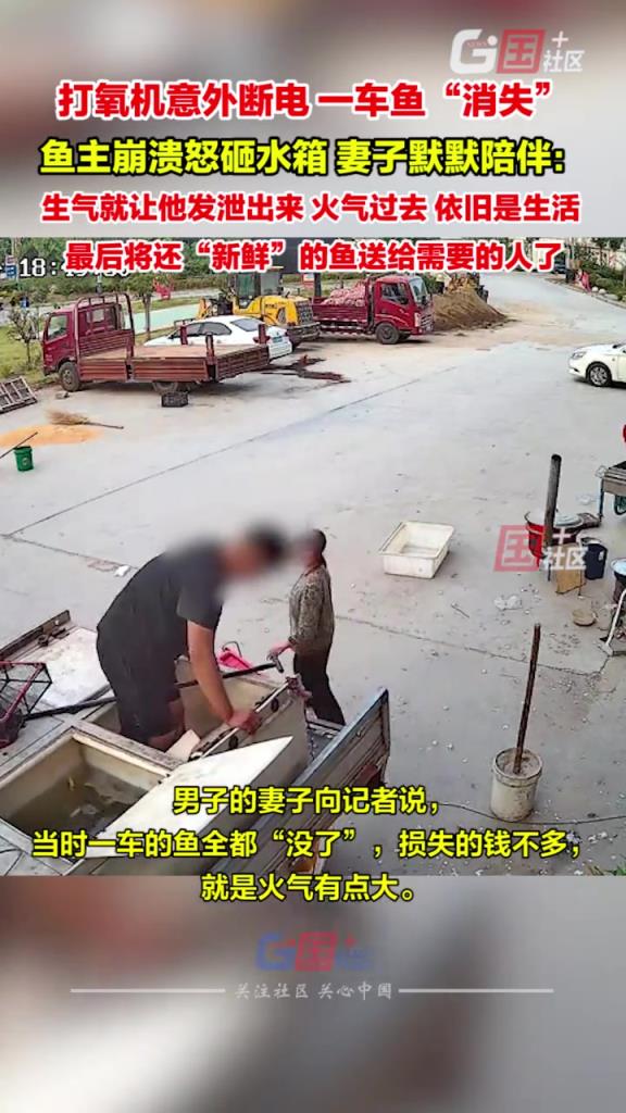 打氧機(jī)意外斷電，一車魚全部死，魚主崩潰怒砸水箱，妻子默默陪伴