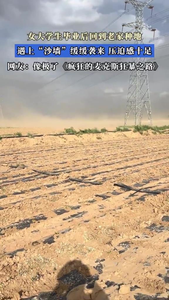 女大學(xué)生畢業(yè)后回到老家種地 遇上沙墻緩緩襲來