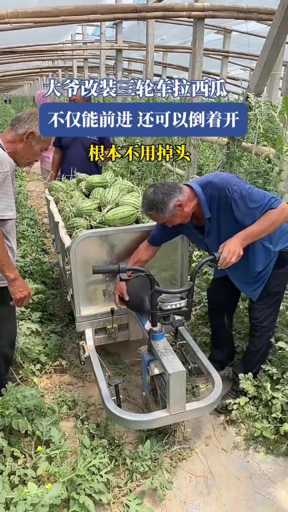 大爷改装三轮车拉西瓜