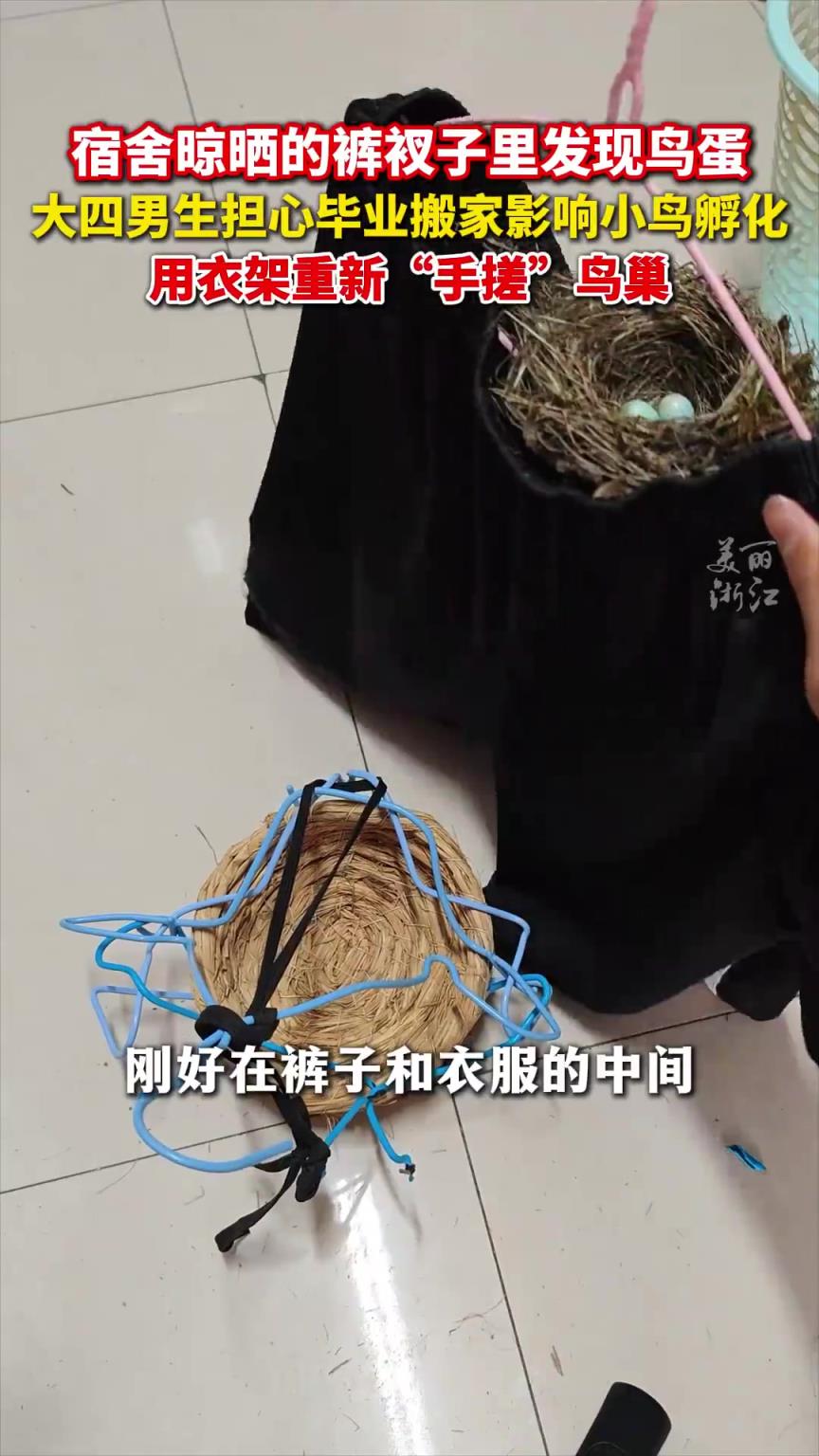 室友的裤衩子里发现了鸟蛋