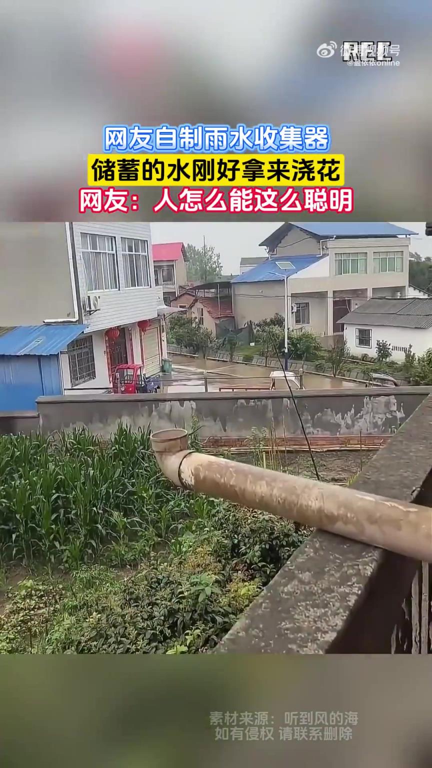 网友自制雨水收集器，储蓄的水刚好拿来浇花