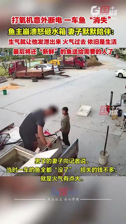 江苏邳州打氧机断电致鱼全死，鱼主崩溃怒砸水箱