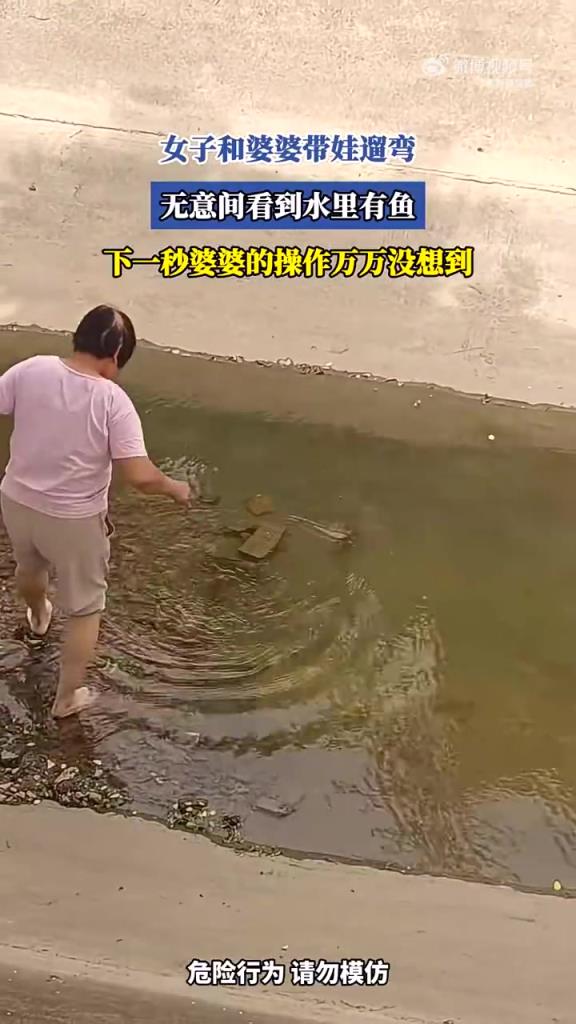 女子和婆婆带娃遛弯,无意间看到水里有鱼,婆婆的操作万万没想到