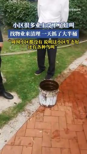 小区很多业主受不了蛙叫 找物业来清理 一天抓了大半桶