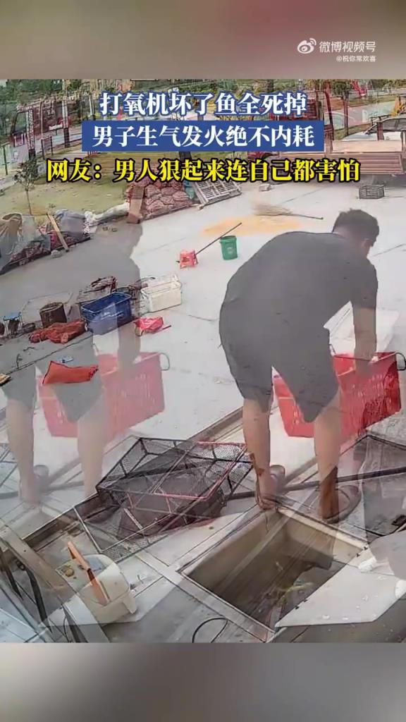 打氧機(jī)壞了魚(yú)全死掉，男子生氣發(fā)火絕不內(nèi)耗