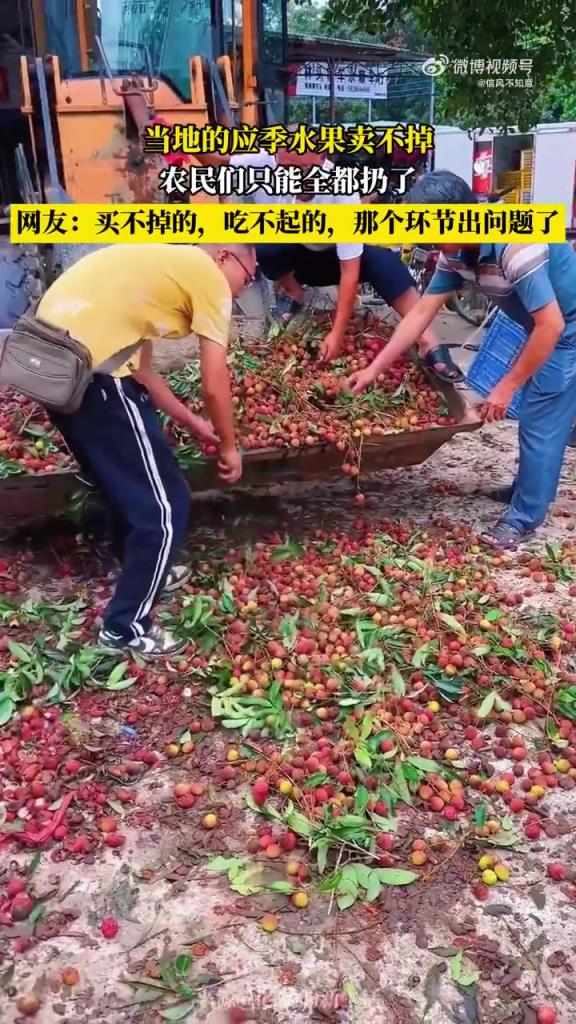 当地的应季水果卖不掉 农民们只能全都扔了