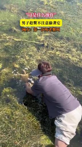 这是什么操作 男子趁鳖不注意偷袭它