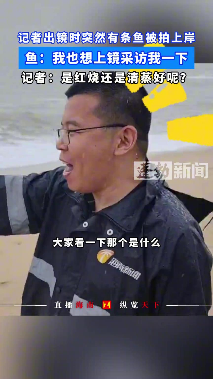 記者出鏡時突然有條魚被拍上岸