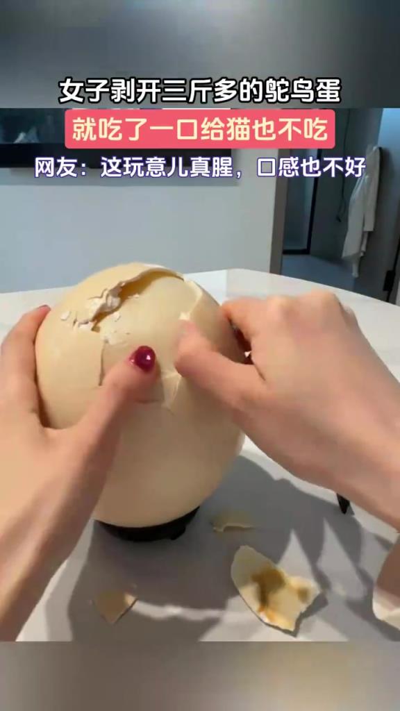 女子剥开三斤多的鸵鸟蛋，就吃了一口给猫也不吃！