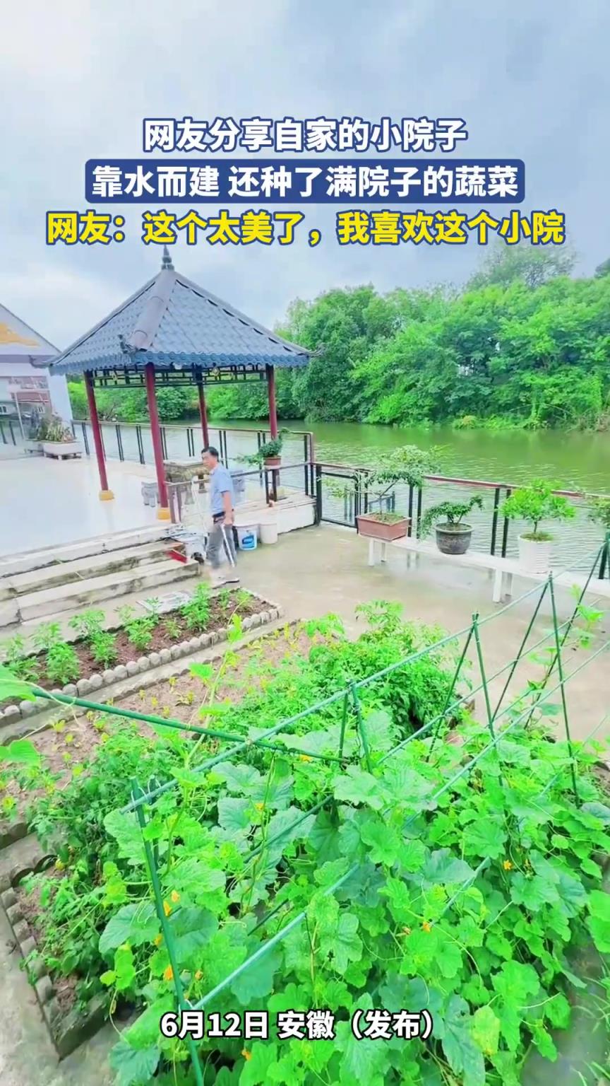 网友分享自家的小院子，靠水而建 还种了满院子的蔬菜！！！