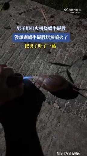 蝸牛的屁股居然可以噴火