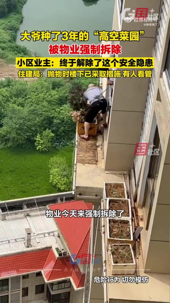 大爷种了3年的高空菜园被物业拆除