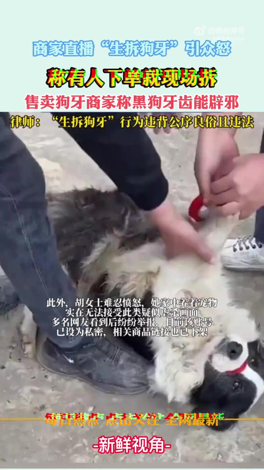 商家直播“生拆狗牙”引眾怒，稱有人下單就現(xiàn)場拆