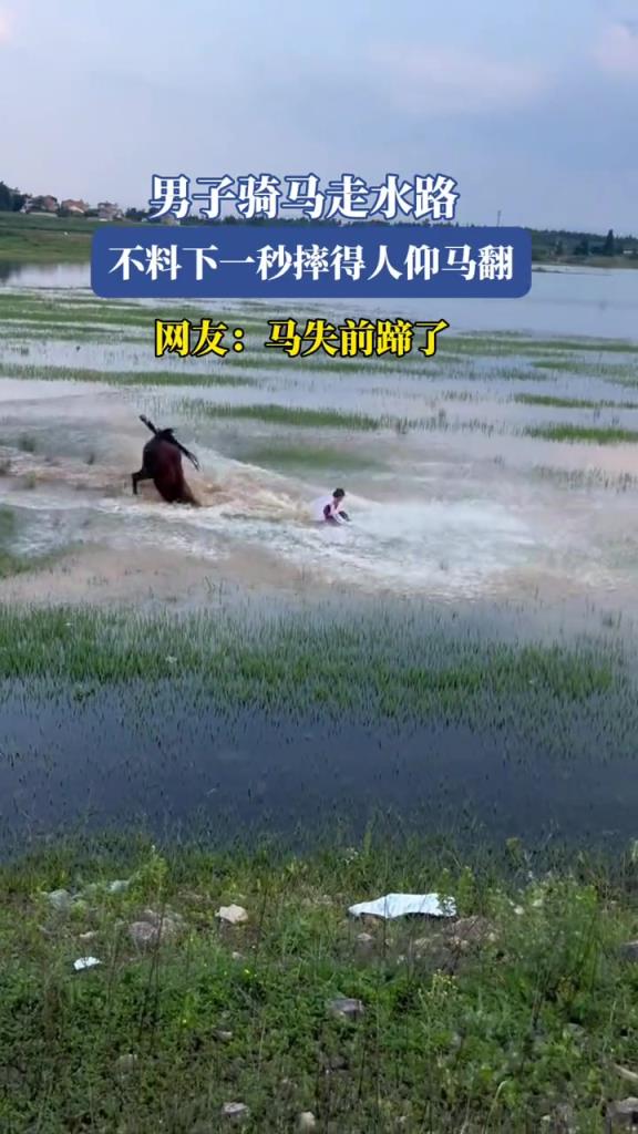 男子骑马走水路,不料下一秒摔得人仰马翻!!