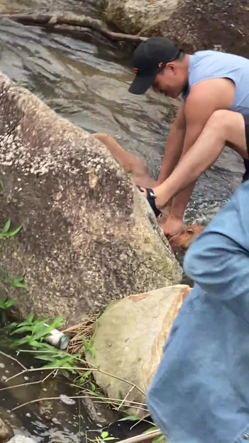 金毛：有你是我的福气