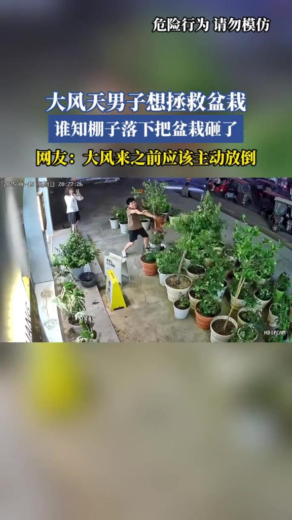 大风天男子想拯救盆栽,谁知棚子落下把盆栽砸了!!