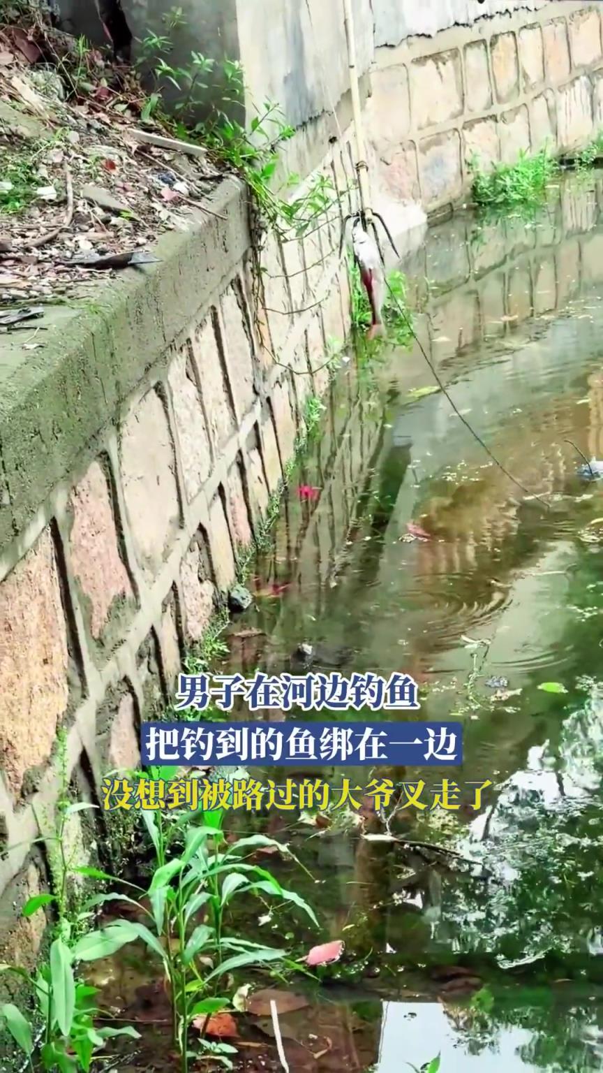 男子河边钓鱼将鱼绑一旁，不料被路过大爷叉走