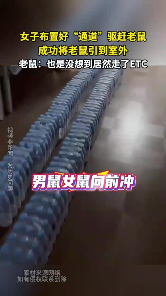 女子布置好通道驅(qū)趕老鼠 成功將老鼠引到室外
