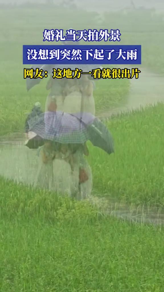 婚礼当天拍外景,没想到突然下起了大雨!!