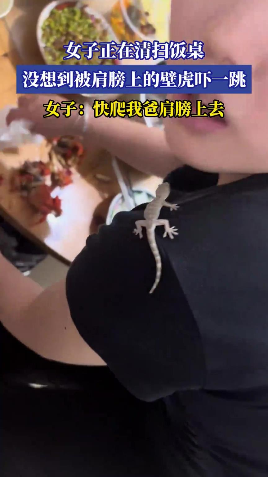 女子清扫饭桌时，冷不防被肩膀上的壁虎吓一跳