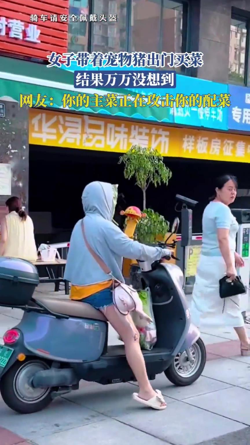 女子带着宠物猪出门买菜，结果万万没想到，主菜正在攻击你的配菜