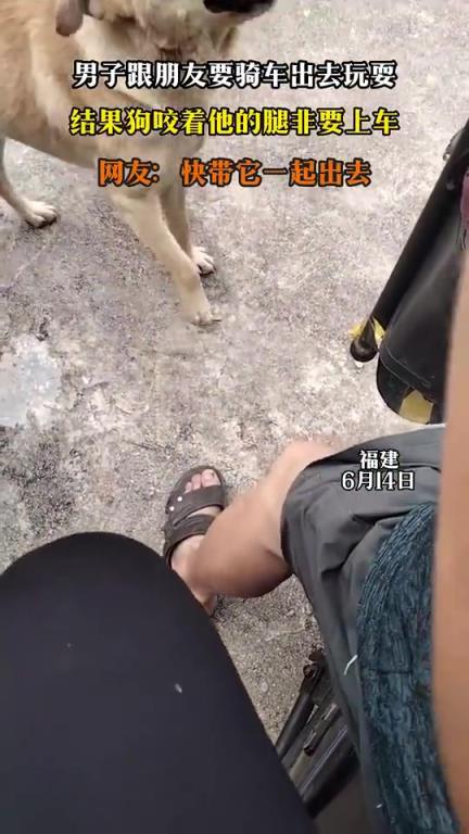 男子跟朋友要骑车出去玩耍 结果狗咬着他的腿非要上车