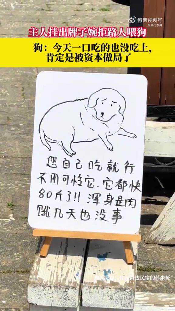 主人挂出牌子婉拒路人喂狗