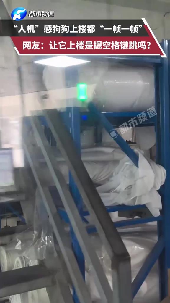 可爱！人机感狗狗一帧一帧上楼梯