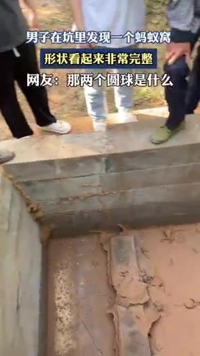 男子在坑里发现一个蚂蚁窝，形状看起来非常完整！