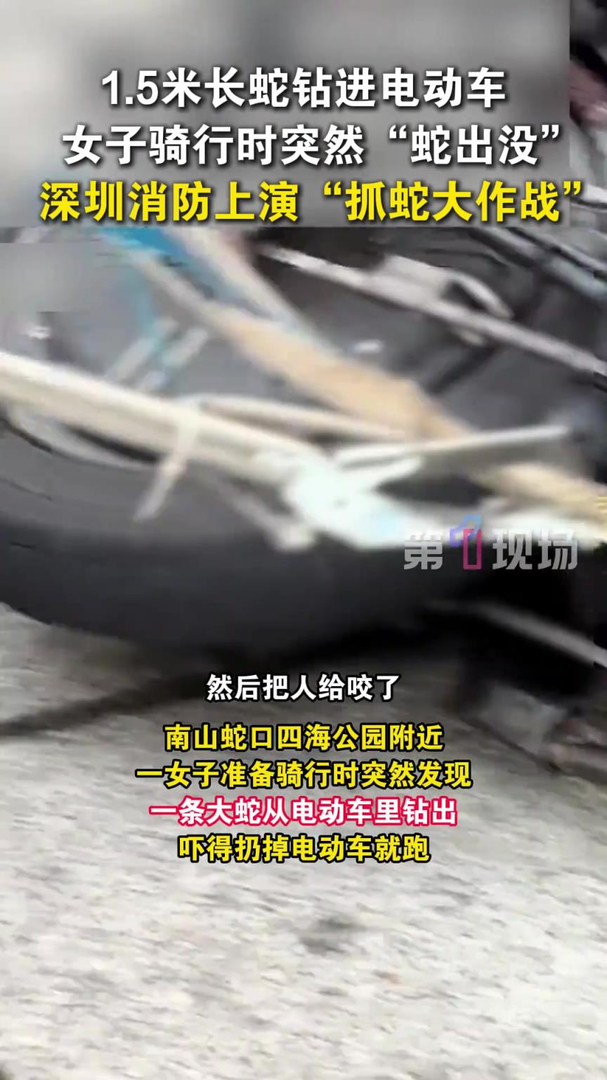 女子骑行时突然发现一条大蛇从电动车里钻出，吓得扔掉电动车就跑
