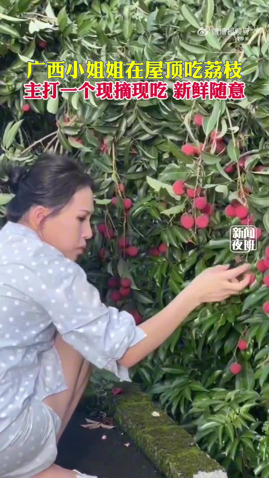 小姐姐在屋顶吃荔枝，主打一个现摘现吃，新鲜随意
