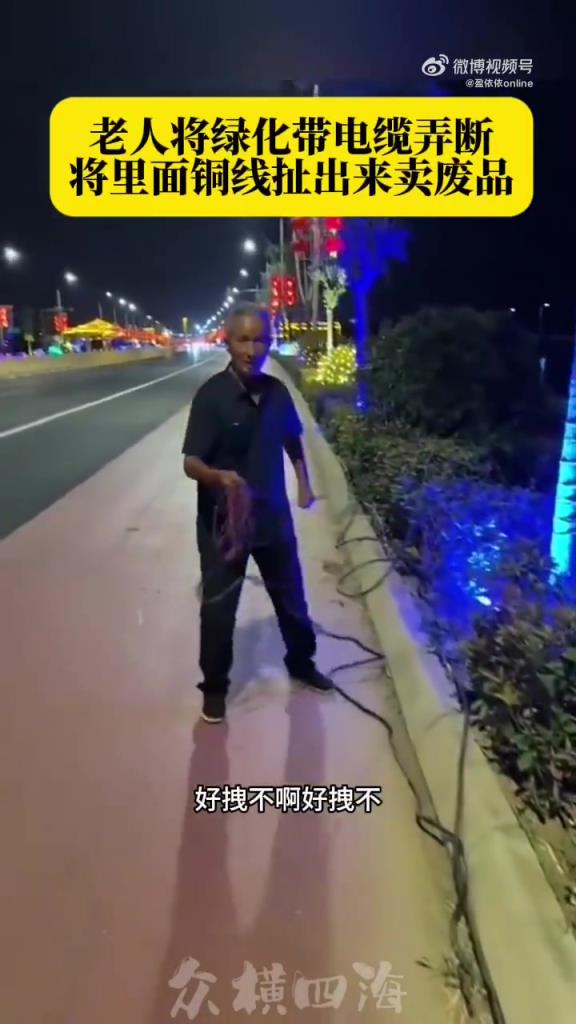 老人將綠化帶電纜里銅線扯出，見男子拍攝拿起銅線就走!!!