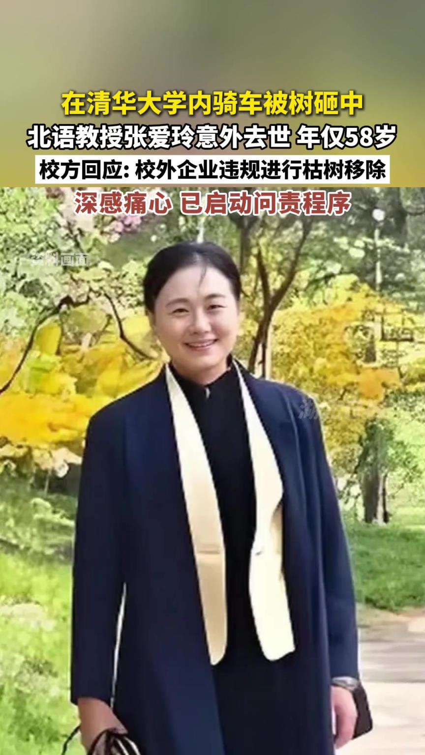 在清华大学内骑车被树砸中，北语教授张爱玲意外去世，年仅58岁。