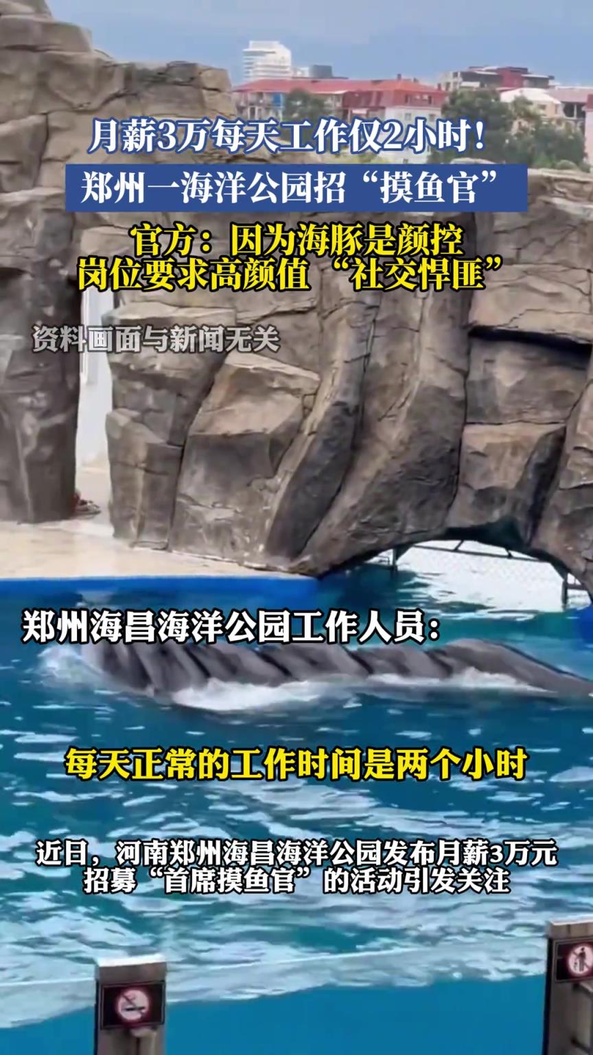 月薪3万每天工作仅2小时！海洋公园招“摸鱼官”要求高颜值