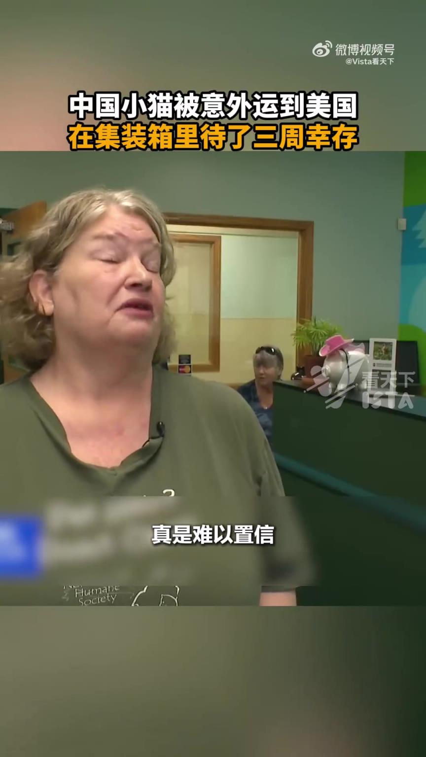 中国小猫被意外运到美国，在无食无水的情况下生存了三周