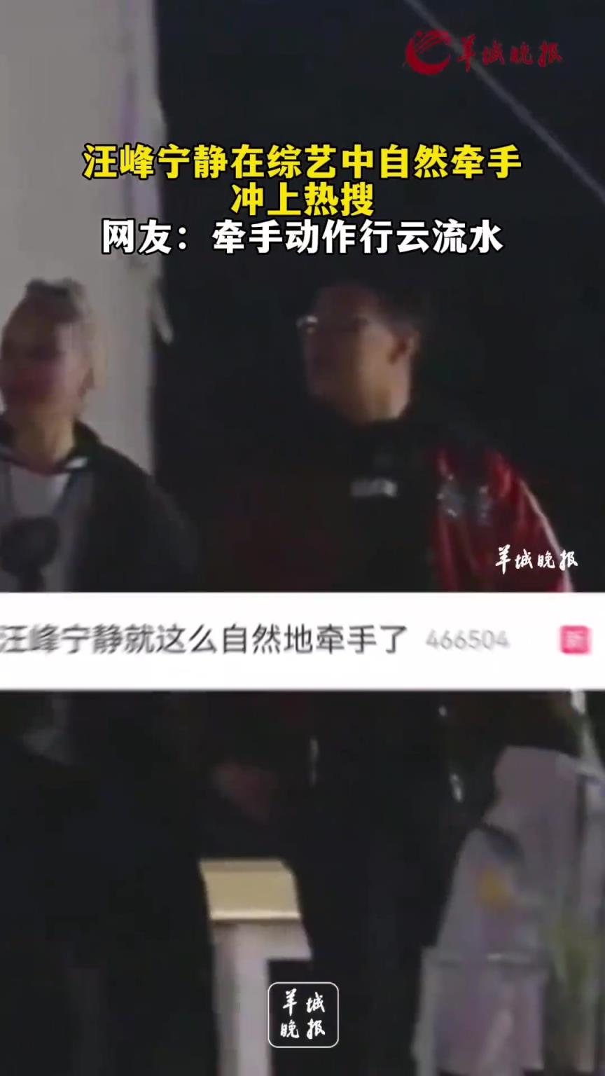 汪峰与宁静牵手，一套动作行云流水，难怪汪峰红颜不断