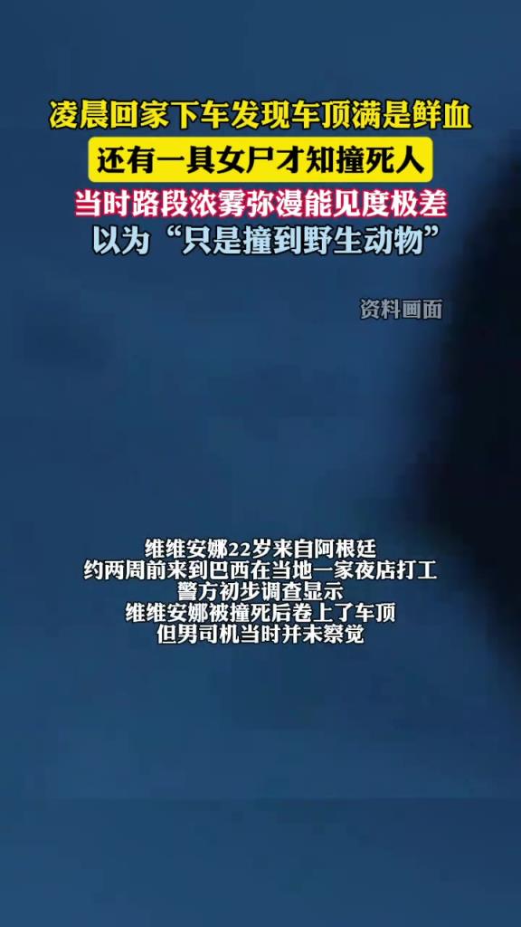 巴西男子車頂發(fā)現(xiàn)遺體才知開車撞了人