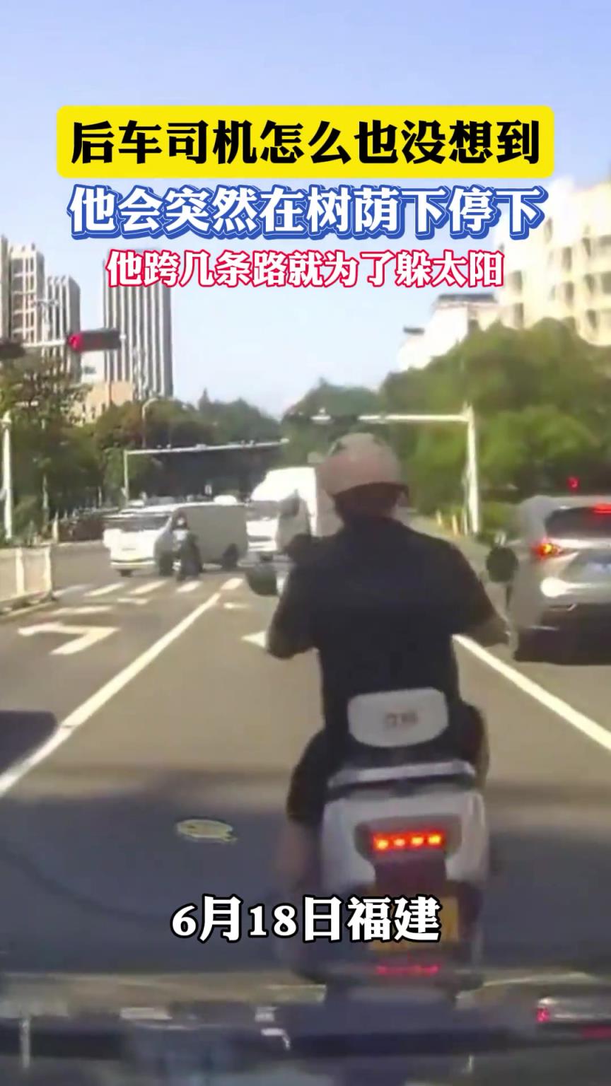 后车司机怎么也没想到，他会突然在树荫下停下